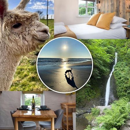 Dog Friendly Cottage, Geufron Farm Near Tywyn Bryn-crug 외부 사진