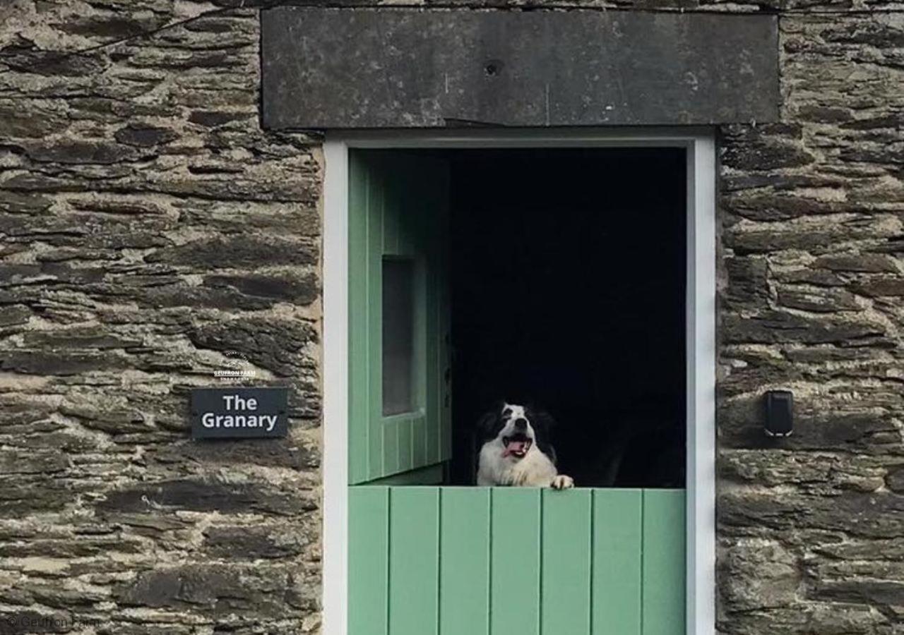 Dog Friendly Cottage, Geufron Farm Near Tywyn Bryn-crug 외부 사진