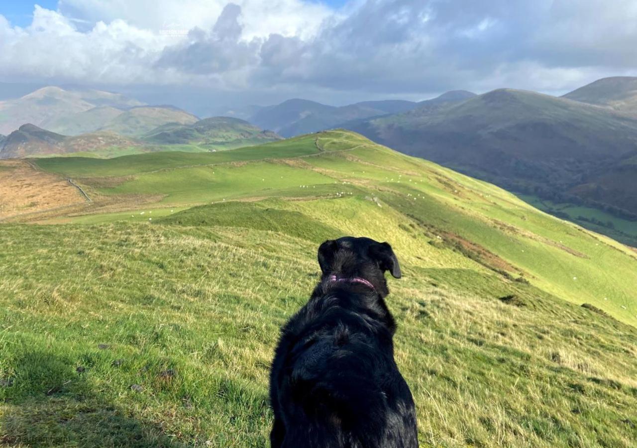 Dog Friendly Cottage, Geufron Farm Near Tywyn Bryn-crug 외부 사진