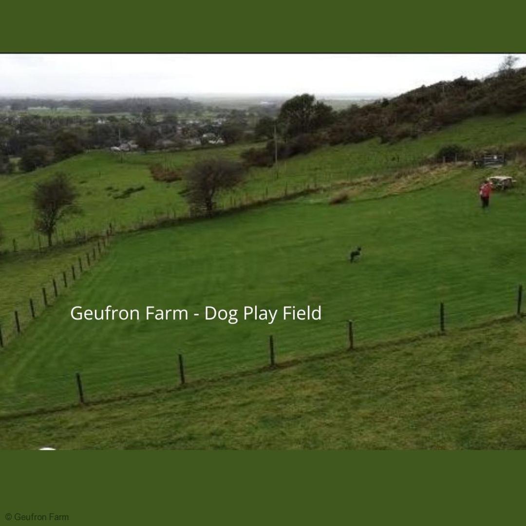 Dog Friendly Cottage, Geufron Farm Near Tywyn Bryn-crug 외부 사진