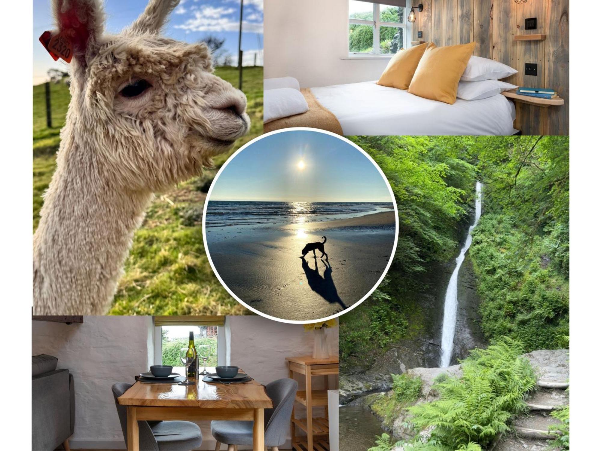 Dog Friendly Cottage, Geufron Farm Near Tywyn Bryn-crug 외부 사진